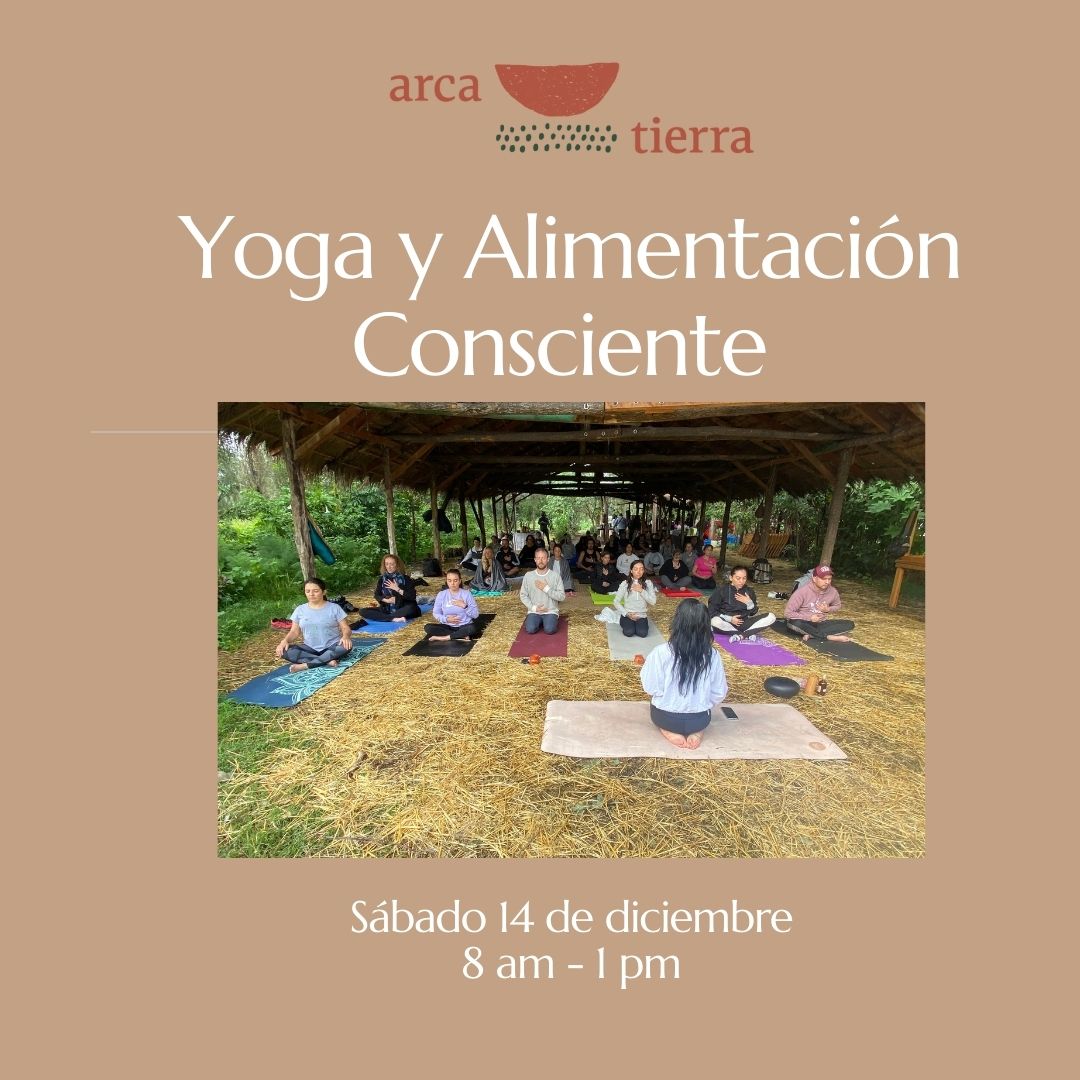 Yoga y Alimentación consciente